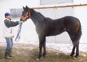 �Z���j�����L�Ł`���I